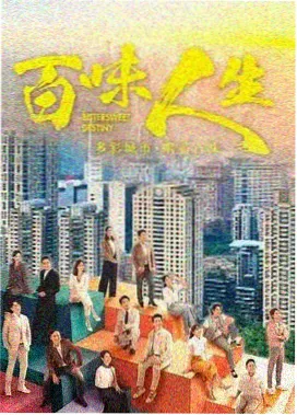 特工题材韩国电视剧动作片标本封面