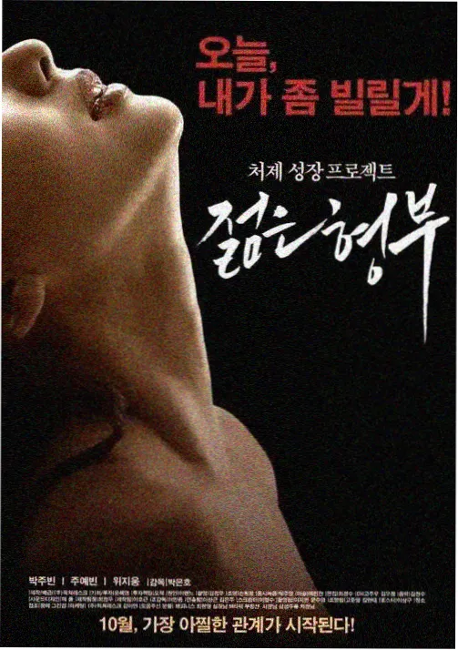 双主角对抗题材韩国电视剧动作片标本封面