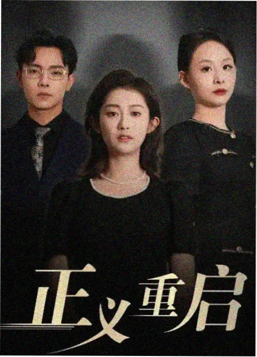 中等动作浓度职场题材韩国电视剧动作片标本封面