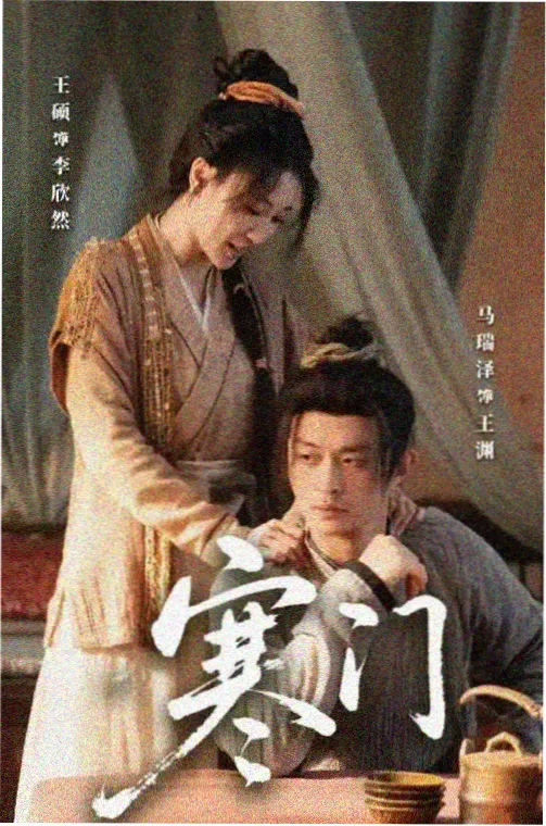 高动作浓度格斗韩国电视剧动作片标本封面